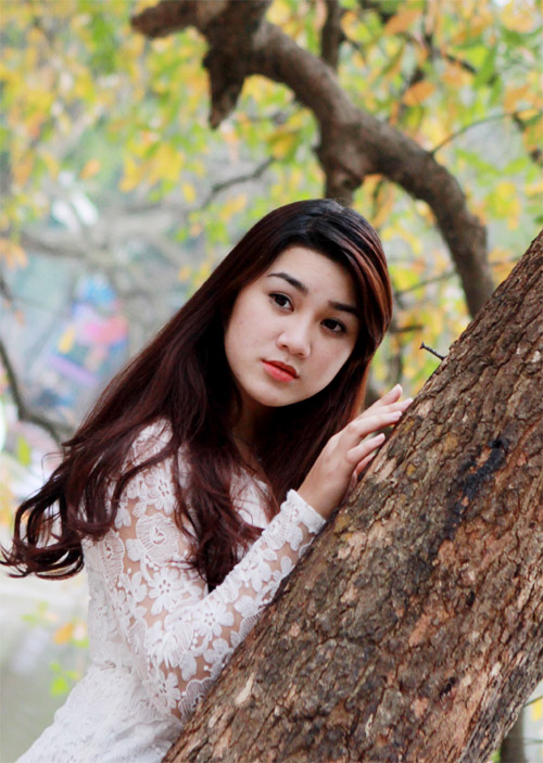 Cảnh đẹp Hồ Gươm: Lộc vừng thay l&aacute;